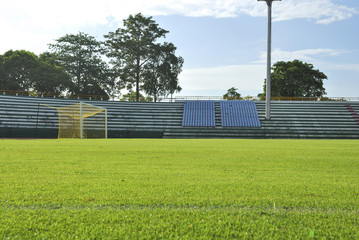 Goal and Green grass soccer field