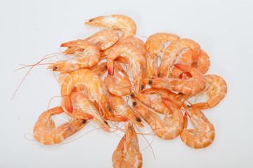 fresh shrimp  isolated on a white background