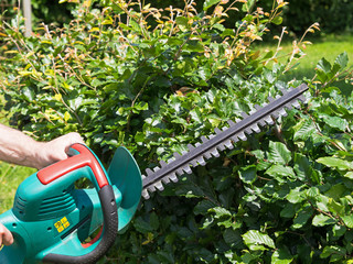 Gartenarbeit - Hecke schneiden - Heckenschere