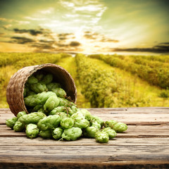 hop