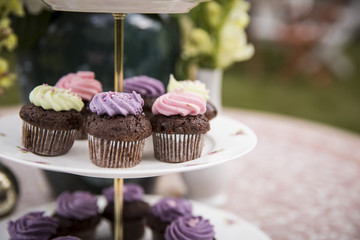 Cupcakes / Kuchen / Muffins / Törtchen