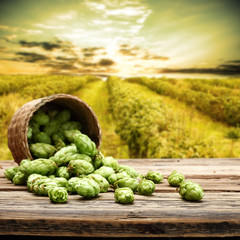 hop