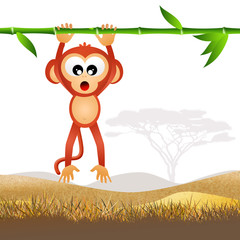 Obraz na płótnie Canvas monkey
