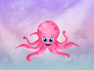 octopus
