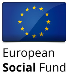 European Social Fund - standard and proprtional EU sign, glossy