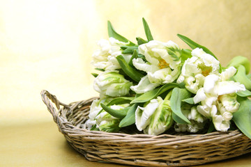 Tulpenstrauß im Korb