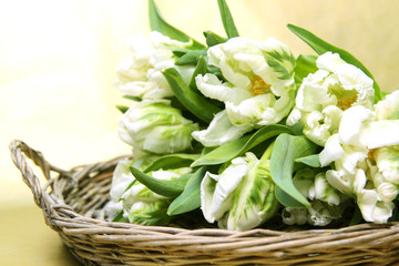 weiße blüten