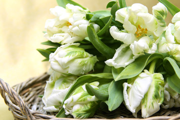 Tulpen im Korb