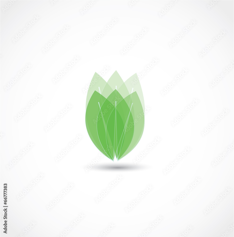 Canvas Prints leaf icon vector