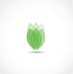 leaf icon vector