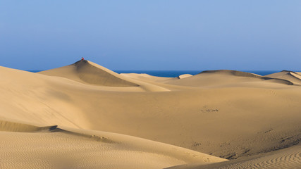 Fototapeta na wymiar Die Dünen von Maspalomas auf Gran Canaria