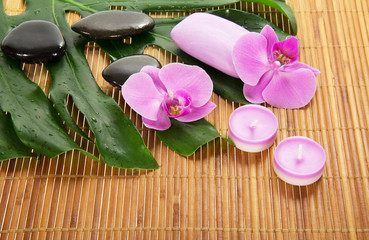 Monstera leaf, orchid and aromatic set