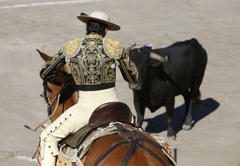 Bullfighter and bull