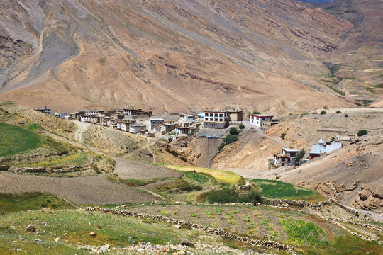 Mountain village Kibber (4270m.) in Spiti, HP, India