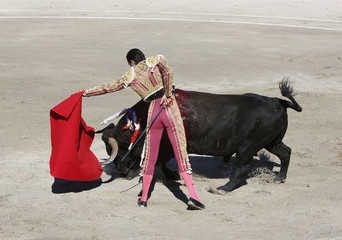 Bullfighter and bull