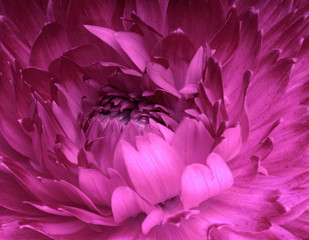 Naklejka premium Abstract flower
