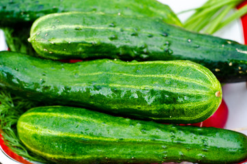 green cucumbers