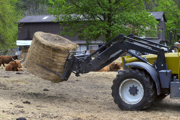 tractor driven hay feeder for cattle
