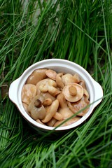 Full bowl of homemade wild (forest) mushrooms