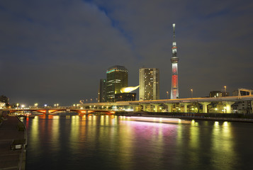Fototapeta na wymiar 東京スカイツリー クリスマスライトアップ