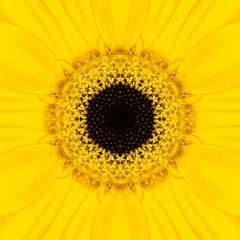 Yellow Mandala Concentric Flower Center Kaleidoscope