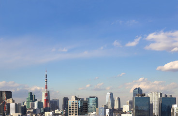Obraz premium ［東京都市風景 全景］東京タワーと高層ビル街