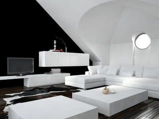 Modern black and white loft living room interior