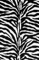 texture of zebra skin
