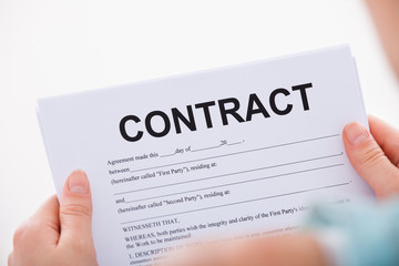 Woman Reading Contract Paper