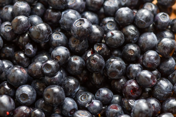 Wild berries
