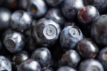 Wild berries