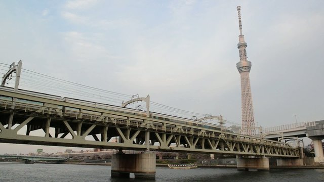 View of Tokyo skyline from Sumida river