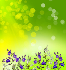 Fototapeta na wymiar floral background of flowers bluebells