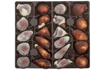Sea Shell Pralines