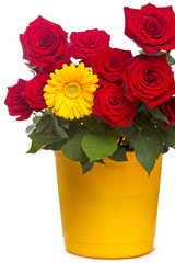 Roses and Gerber in yellow bucket