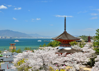 満開の桜の宮島の風景で大鳥居と五重塔と多宝塔が見渡せる景色