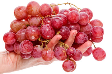 Hand with a big red grapes