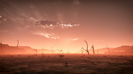 Paysage désertique brumeux sec et effrayant extrême avec des arbres morts au soleil