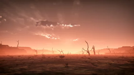 Tuinposter Extreem spookachtig droog mistig woestijnlandschap met dode bomen bij zon © ysbrandcosijn