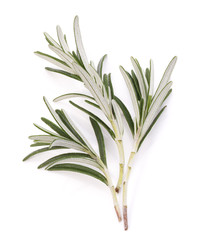 rosemary herb spice leaves isolated on white background cutout