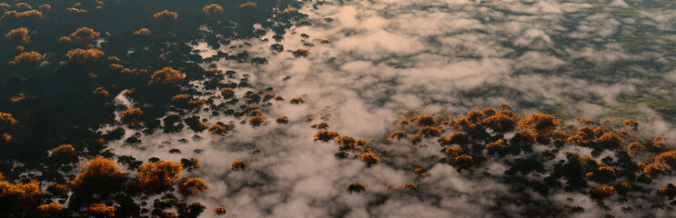 Aerial of autumn forest partly covered by morning clouds.