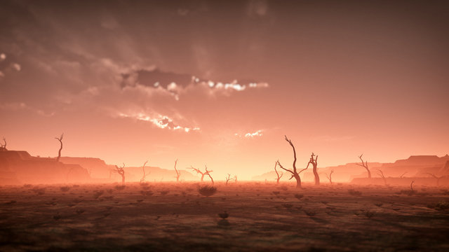 Extreme spooky dry misty desert landscape with dead trees at sun