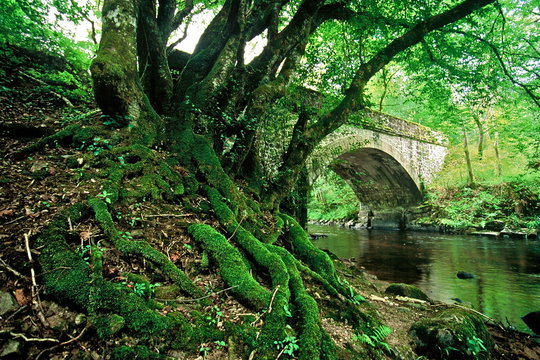 LE  MORVAN  LA  CURE