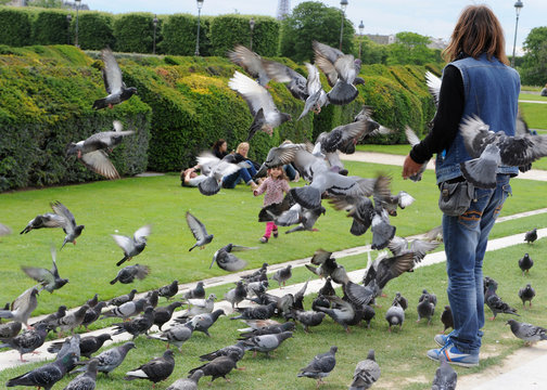 Femme et pigeons