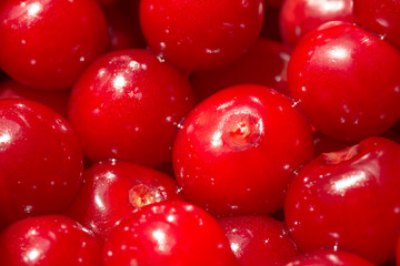 Colorful Display Of Red Cherries Close Up In Fruit Market