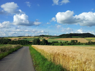 SOMMERLANDSCHAFT IN OSTWESTFALEN