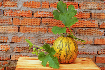 Pumpkin near the brick wall