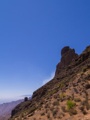 Fototapeta na wymiar Roque Bentaiga im Gebirge auf Gran Canaria