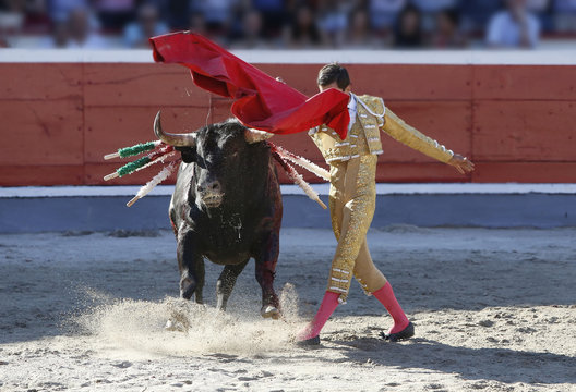 bull in the bullring