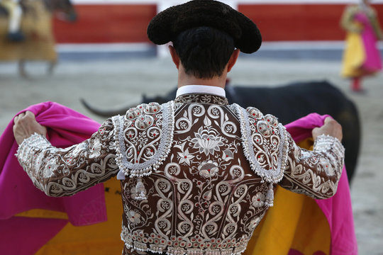 Bullfighter and bull